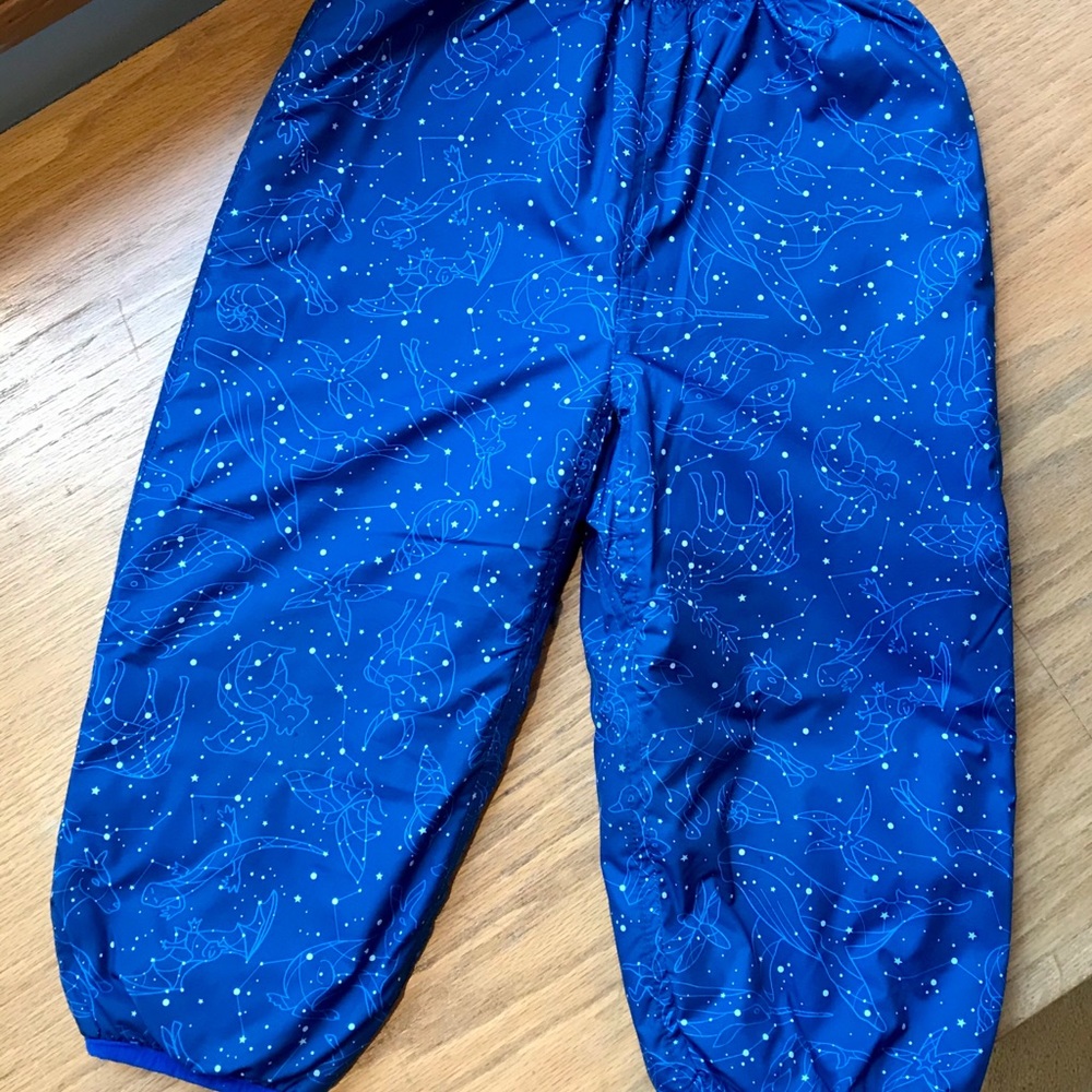 Patagonia Toddler Snow Pants